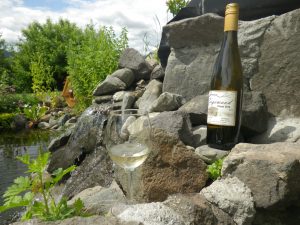 Pinot Gris 2016