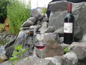 Gamay 2016